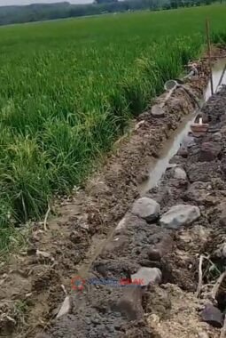 Proyek Siluman  Bertebaran di Kabupaten Grobogan.